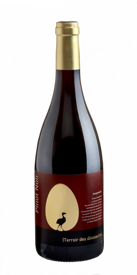 Anne de Joyeuse Pinot Noir Gargantuavis 2016